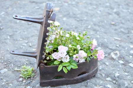 roses bouquet in vintage ironの写真素材