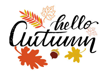 Hello autumn hand lettering phrase on  leaf backgroundのイラスト素材