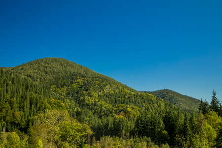 summer time mountains highland forest green foliage nature scenic landscape view with blue sky background in clear weather dayの写真素材