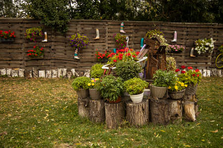 exterior garden hotel back yard space hipster style with decorated flowers vases and background wallの写真素材