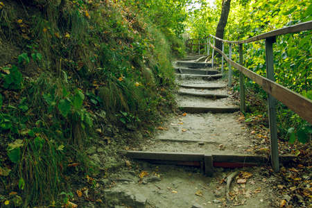 empty dirt stairway trail in wood land natural environment without peopleの写真素材