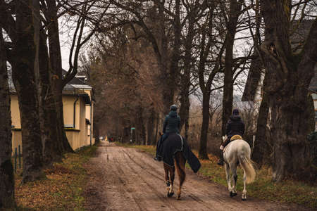 two women riding horses on dirt trail back to camera in autumn cloudy rainy park outdoor environmentの写真素材