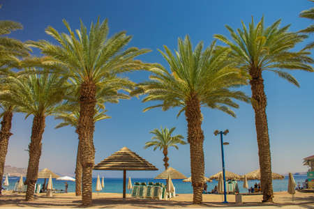 palm beach landscape south destination shore line of Red sea beautiful place for vacation season in summerの写真素材