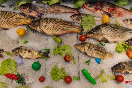 silver carp frozen fish product mall refrigerator backgroundの写真素材