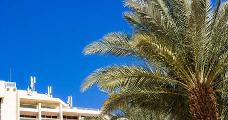 resort apartments hotel building yard palm trees tropic south scenic landscape landmark view in...