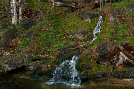 soft focus nature spring time landscape highland green grass meadow with river stream and stumpの写真素材