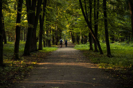 two person man and woman walking back to camera on park asphalt road alley wayの写真素材