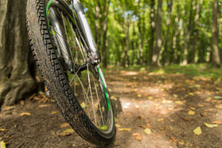 life style ride cycle concept outdoor picture with vehicle wheel foreground in forest natural environment spaceの写真素材