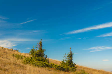 spring time mountain landscape diagonal hill land horizon line with small pine trees scenic view natural environment and vivid blue skyの写真素材