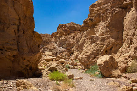 desert rocky narrow path way picturesque bright sunny nature scenery landscape of Red Canyon famous heritage natural destination point for touristsの写真素材