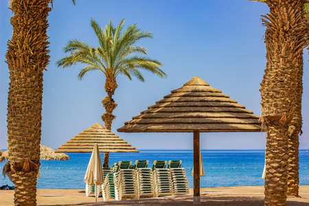 idyllic sand beach resort scenic landscape destination of Red sea waterfront with white lounge...