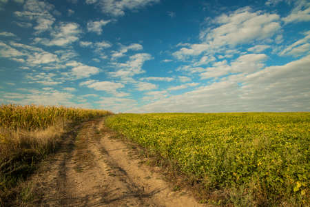 idyllic picturesque spring time empty field colorful landscape morning sun rise lighting dirt trail...