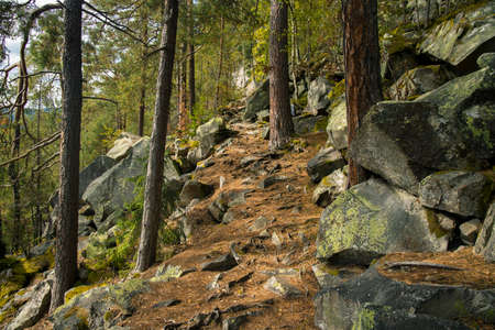 mountain forest rocky highland scenic outdoor environment space