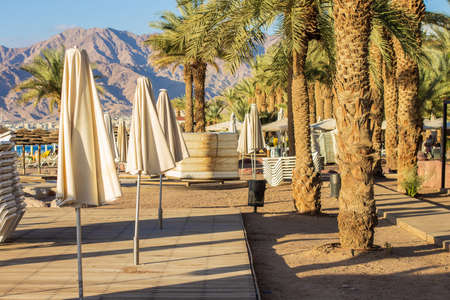 palm trees Red sea coast line scenic landscape view of summer time vacation season sunny day in...