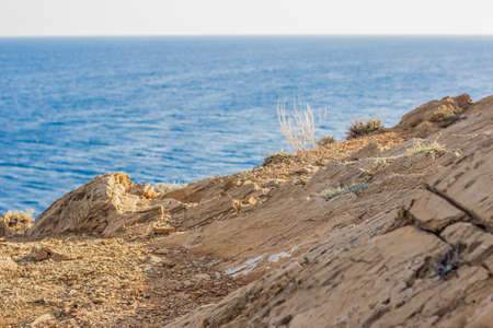 tropic beach in one of south countries concept view of soft focus yellow stones texture on top of rocks and unfocused water surface with waves background spaceの写真素材
