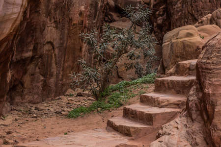 sand stone carved stairs passage in canyon rocks environment