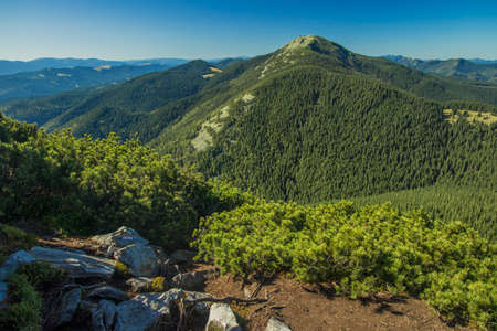 top view Carpathian mountains green foliage scenic view rocky landscape summer time clear weather day copy spaceの写真素材