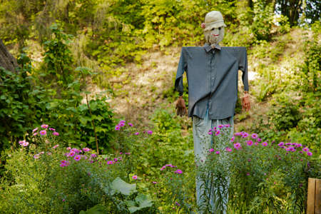 scarecrow landscaping rural object in garden sunny nature space green foliage environment spring season vivid colorful weather timeの写真素材