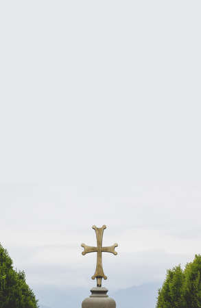 religion pattern Christian cross sign element symmetry garden foliage on both sides and gray neutral...