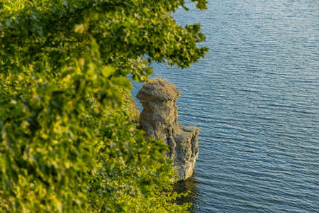 soft focus yellow green foliage spring time nature with top scenic peaceful view on lake water...
