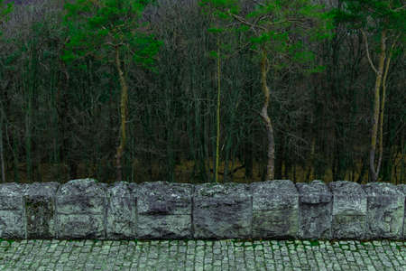 dark mystic forest background scenic view with gray stone paved road and small decorative fence...