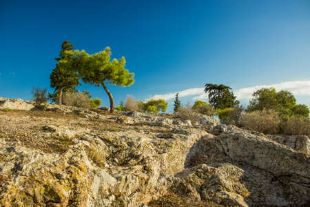 nature scenery landscape in hot south equator country with green trees and hills, warm summer colorful weather with empty blue sky viewの写真素材