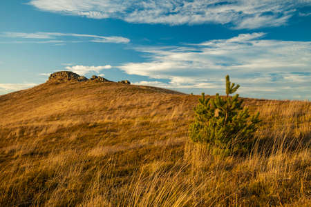 mountain landscape nature scenic view fall season at September month highland rocks and small lonely...