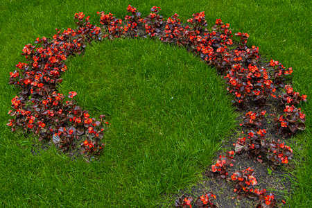 clean nature landscape wallpaper pattern background garden scenic view of red flowers bed and green grass vivid colorful photographyの写真素材