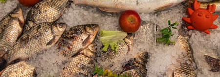 product shop frozen fish supermarket background concept photographyの写真素材