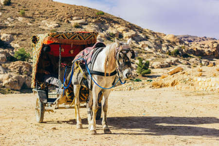 Arabian entourage touristic wagon with donkey for travelers sightseeing site in Middle East rocky nature scenic environment region spaceの写真素材