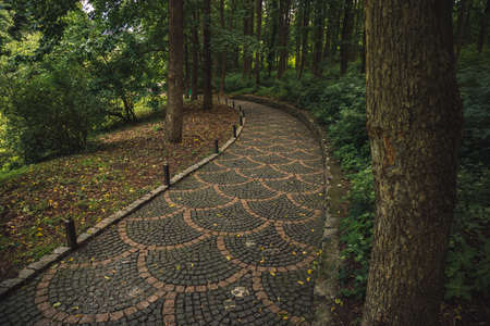 promenade paved road moody autumn park outdoor nature scenic view curved path way for walking in...