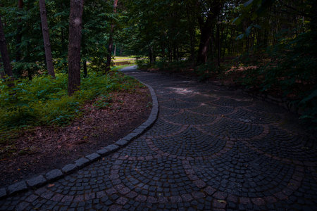 park outdoor dark space under trees shadow peaceful walking and promenade place without peopleの写真素材