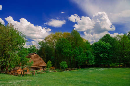 picturesque village country side landscape of Eastern Europe region in Ukraine in summer colorful dayの写真素材