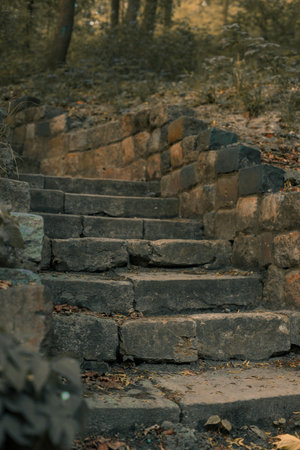old stone stairs decay architecture object in ancient park outdoor environment space autumn season time vertical photoの写真素材