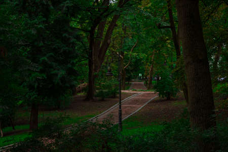 dusk park outdoor city place for walking there with decayed old curved trail and not working lantern grunge and dungerous place for people hereの写真素材