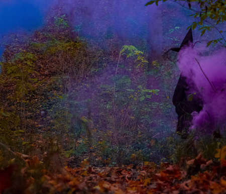 Halloween October fall season time concept unrecognized black silhouette person of witch in colorful bombs smoke purple and blue outdoor orange forest environmentの写真素材