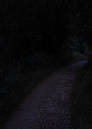 soft focus lonely dirt curved trail in park outdoor zone with plants and bushes at dark night time dangerous placeの写真素材