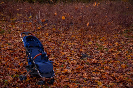 baby carriage in October outdoor park with orange falling leaves nature environment spaceの写真素材