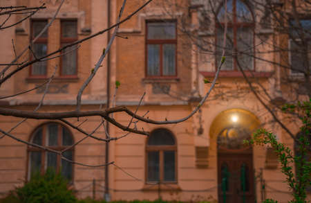 September outdoor street bare branches photography in courtyard building estate unfocused background with entrance illumination electricity lampの写真素材
