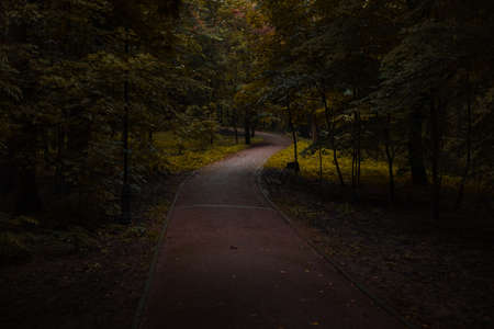 moody autumn nature park outdoor curved road for walking in cold melancholy atmosphere soft focus September photographyの写真素材