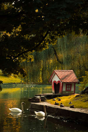 autumn park dramatic landscape vertical photography with pond with swans and wooden cabin for birds and sun rays background beautiful scenic viewの写真素材