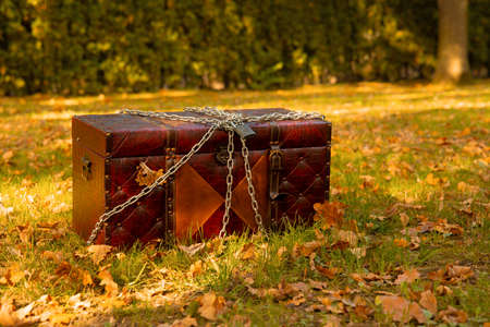 treasure chest quest purpose in fairy autumn forest outdoor place fable concept photographyの写真素材