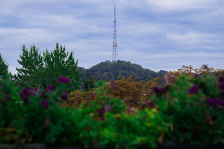 city telecommunication TV tower background landscaped object view with depressive autumn colors park outdoor environment space and green and brown foliage unfocused foregroundの写真素材