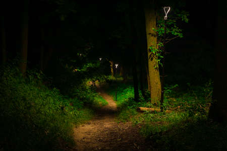 night park dirt trail pathway under electricity lantern light in loneliness place without peopleの写真素材