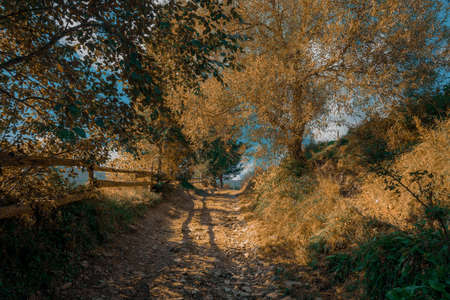 autumn rural scene country side path way in golden October day time majestic landscape viewの写真素材