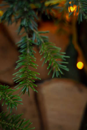 warm Christmas and New Year 2022 cozy atmosphere with yellow light from garland lamp and needle...