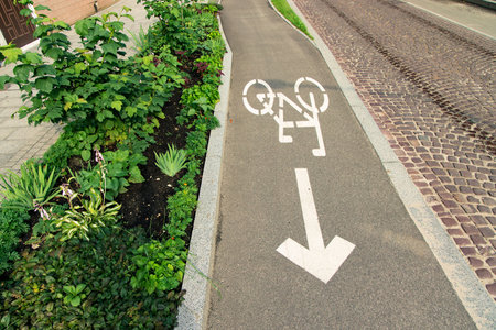 cycle lane sign logo on asphalt road track of Europe street urbanism concept picture