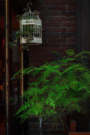 loft cafe design art space vintage moody style dark brick background house plant and bird cage vertical photoの写真素材