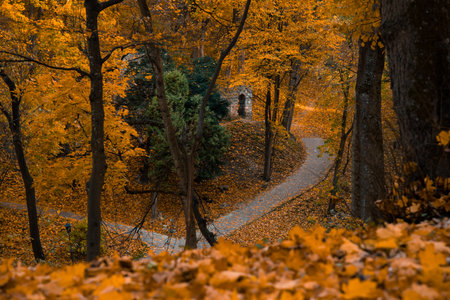 October fairy tale country side European outskirts environment landscape forest with orange falling leaves, tracks for foot path walking view and old medieval castle ruinsの写真素材