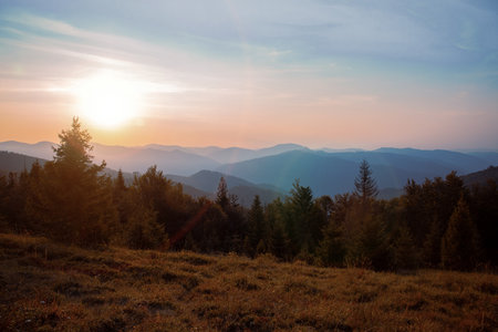 highland mountains mist panorama landscape autumn season time travel destination site view of spruce...